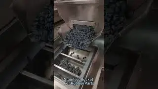 Why need vertical Z bucket Elevator for granule beans? #bucketelevator  #conveyorsystems  #conveyor