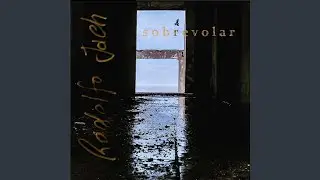 Sobrevolar