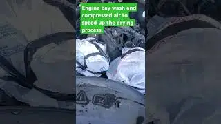 Engine bay cleaning tips. 4.8, 5.3, 6.0, 6.2 ls engines.