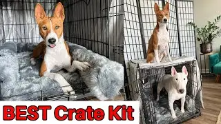 If Your Dog doesn't like Crate, Watch THIS: Best Crate Kit for Dogs