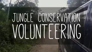 Jungle Conservation Volunteering in Peru