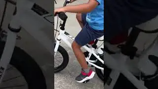 Royalbaby Freestyle Kids Bikes