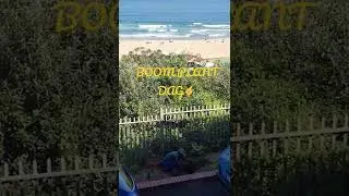 Boom plant dag🤪😅🕺usuku lokutshala izihlahla