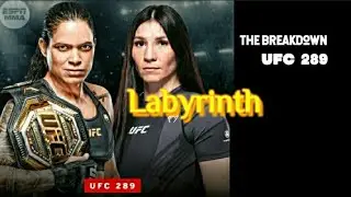 The Breakdown | UFC 289