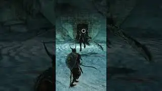 Босс Железный король в Dark Souls 2! #mrcatgame #darksouls2 #темныедуши2