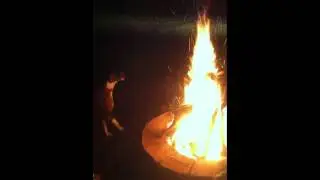 My dog tries to eat sparks from fire