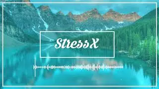 StressX