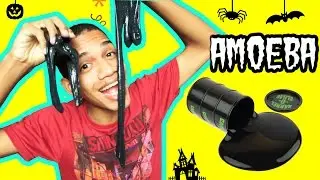 AMOEBA PRETA | Como fazer uma amoeba preta! DIY!