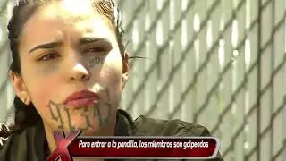 Mara Salvatrucha.