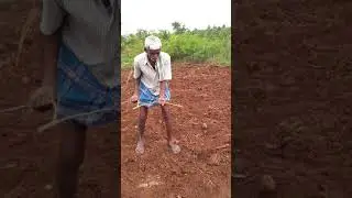Bore Well Point | Ground water finding With Coconut for Bore Well Digging