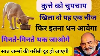 यह एक चीज चुपचाप कुत्ते को खिला दो, आपकी 7 जन्मों की गरीबी दूर होगी। #dhanush 
