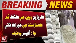 Five Food Department Officers in Sindh Dismissed Over Missing Wheat Worth Crores | BreakingNews