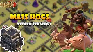 Mass Hog Attack Th9 | Th9 Hog Attack Strategy | Th9 Attack Strategy | Clash Of Clans