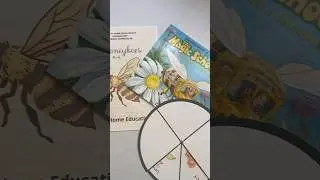 #homeschoolscience #homeschoolcurriculum #homeschoolresources