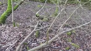 Murder scene West Yorkshire