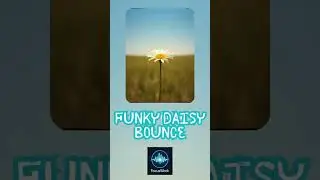 Deep Funk Flow &ndash; Hypnotic Breakbeat House | 125 BPM IDM Groove for Focus & Work I Funky Daisy Bounce
