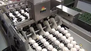 Nuovo Egg Stamper - Easy Stamp SOR5 on Prinzen PSPC30