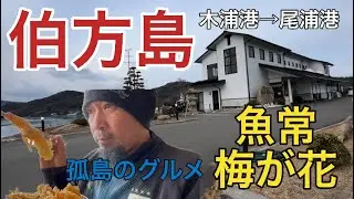 【伯方島】魚常 梅が花〜塩だけじゃないぞな、伯方の飯！（2024.01.28）孤島のグルメ／愛媛県今治市伯方町