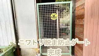 ニワトリ脱走防止ゲート、やっと完成