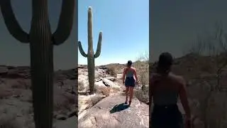 These things are so much bigger than expected🌵 #shorts  #vanlifecouple #nomadcouple  #travelcouple