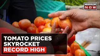 Tomato Prices At Record High, Rates Skyrocket To Rs. 130/Kg In Delhi | Monsoon Fury | English News