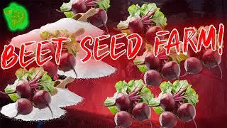 How To Easily Farm  A Ton Of Beet Seeds ,  Best  Expandable Auto Crop Design  In  Once Human
