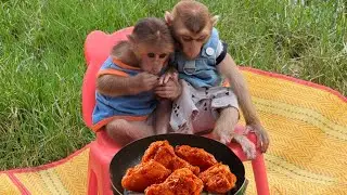 Today Mom take Monkey Bryan and Icy to the fields and make fried chicken for them