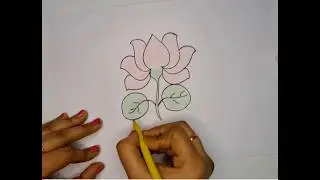 Lotus Flower Drawing | Pencil Colouring | Easy Drawing | Kamal Ka Phool | Pencil Art