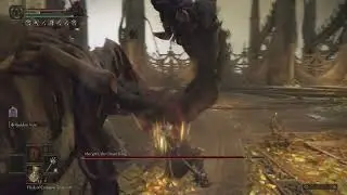 Morgott sl1 no dmg