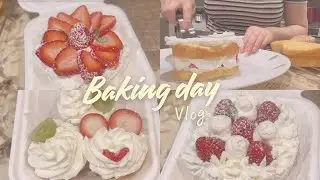 baking vlog | korean lunch box cake 🍰 | cup cakes 🧁 | gift idea
