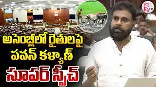 AP Assembly : Deputy CM Pawan Kalyan Super Speech On Farmers | CM Chandrababu | @sumantvpithapuram