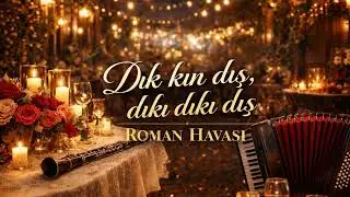 DIK KIN DIŞ DIKI DIKI DIŞ - ROMAN HAVASI
