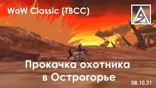 WoW Classic, прокачка ханта 68+