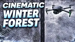 Cinematic Winter Forest | DJI Air 3S