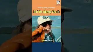 There is a type of kelp tube but we rarely see it