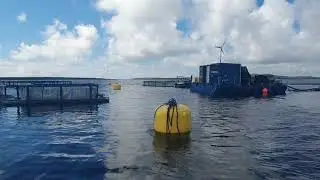 Daretech Hybrid Float By