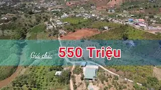 Đất nghỉ dưỡng gi&aacute;p suối thị trấn Nam Ban c&aacute;ch DDT 725 chỉ 800m