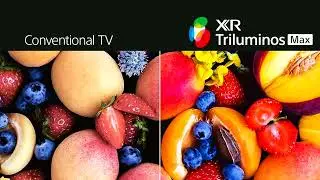 The Secret Flagship: Sony BRAVIA 8 II QD-OLED Review (K-65XR80M2)