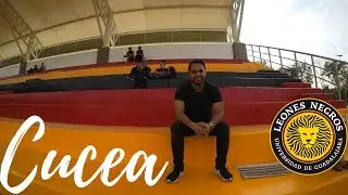 CUCEA y sus INSTALACIONES I ¿Cómo es CUCEA? (UDG) DAN ROD’👨🏻‍💻💼📚