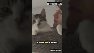Does Your Cat Miss You When You&rsquo;re Gone? Here&rsquo;s the Proof 🐾