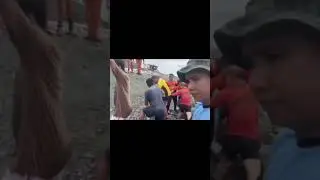 BREAKING NEWS | Dalawang batang inanod ng malakas na agos sa Sitio Pangulo, Carangian, Tarlac City.