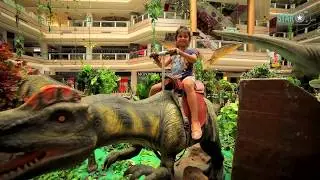 Dinosaurs World at The Celebration Mall , Udaipur