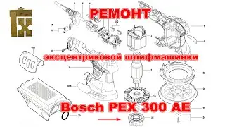 Ремонт эксцентриковой шлифмашинки Bosch PEX 300 AE