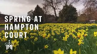 Hampton Court Palace Gardens: Spring