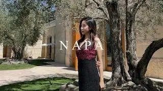 Napa Valley Vlog | Wineries, Restaurants, Birthday | 加州纳帕谷酒庄生日3日游 出门能走直线算酒庄输 | BaeKaetion