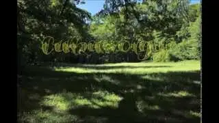Cuha-v&ouml;lgye
