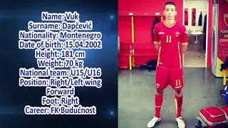 VUK DAPČEVIĆ - PROMO 2016/2017