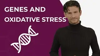 How GENE DEFECTS influence the AGING Effect of FREE RADICALS