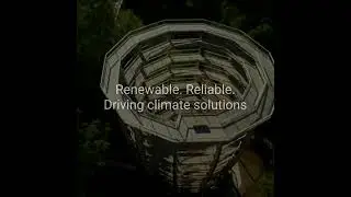 Economic value of timber