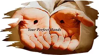 Your Perfect Hands